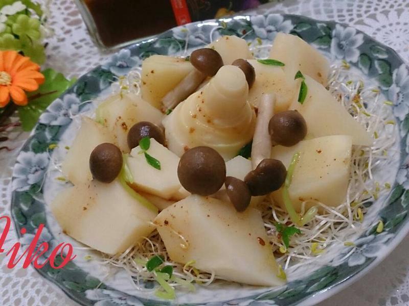 ����Ұ�����������