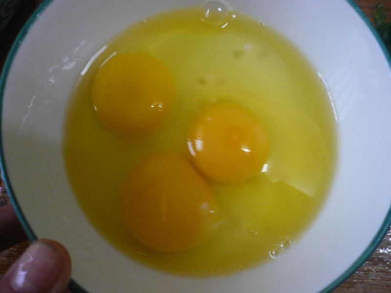 Ϻ�ʵ���[��ҹʳ��x��ʳ��]������