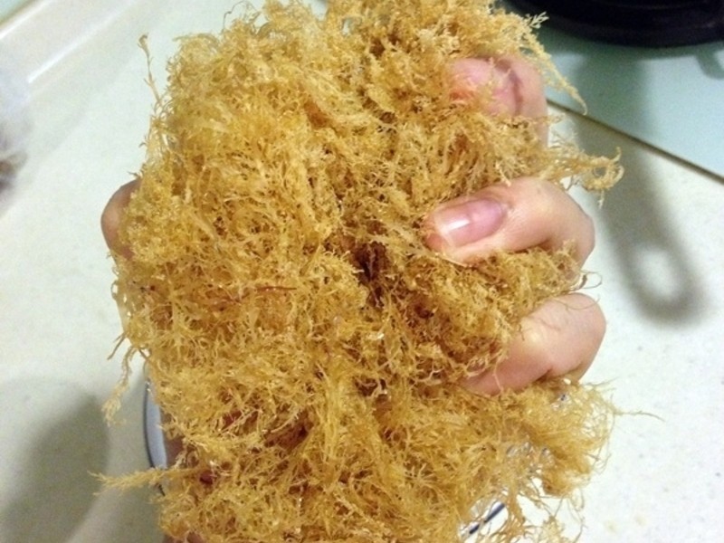 ����ʯ����������