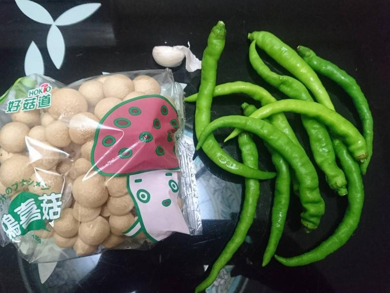 Ŵ�׽�������������