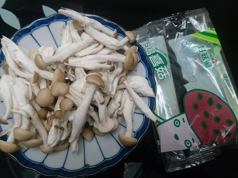 Ŵ�׽�������������