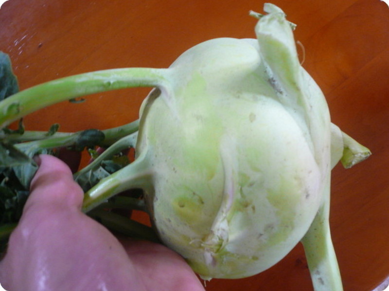 ��ʽ��ζ��ͷ�ݲ˵�����