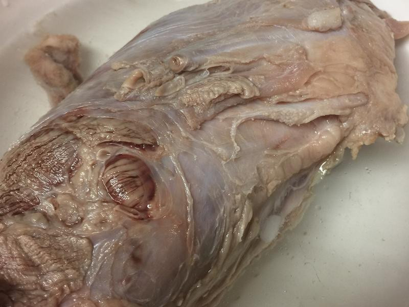 ѹ��������±ţ�������