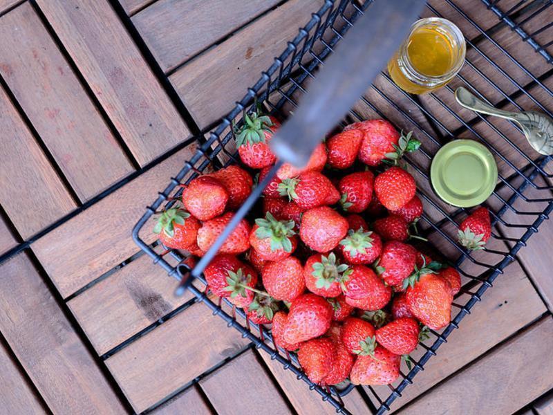 �����޶����������ݮ֭!������