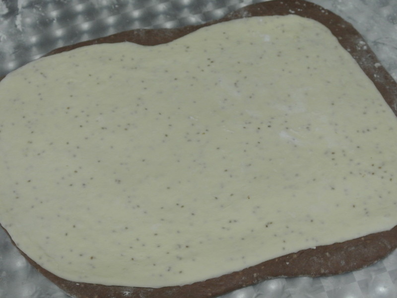 ��˾��ȦȦ������