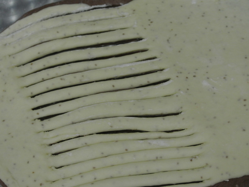 ��˾��ȦȦ������