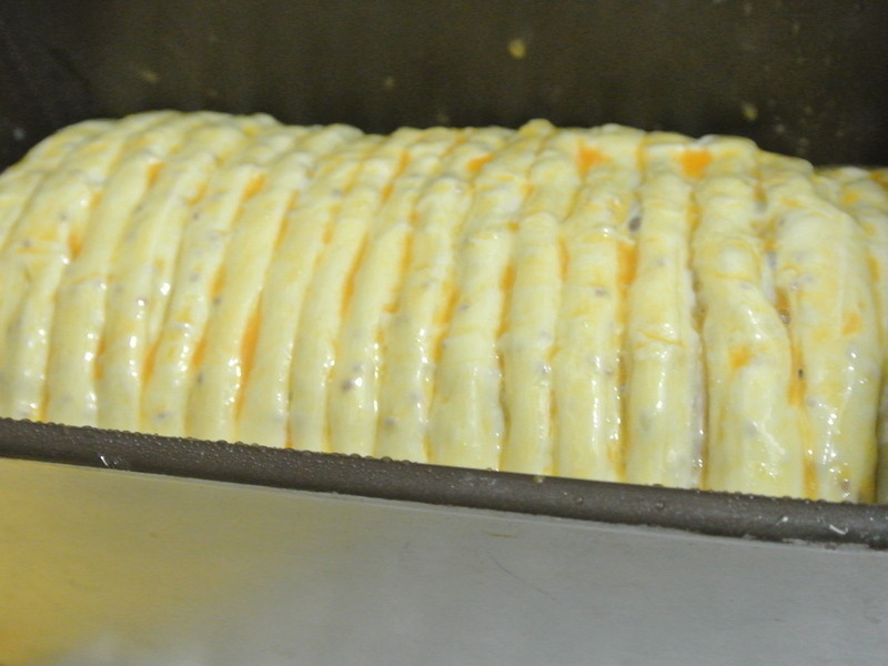 ��˾��ȦȦ������