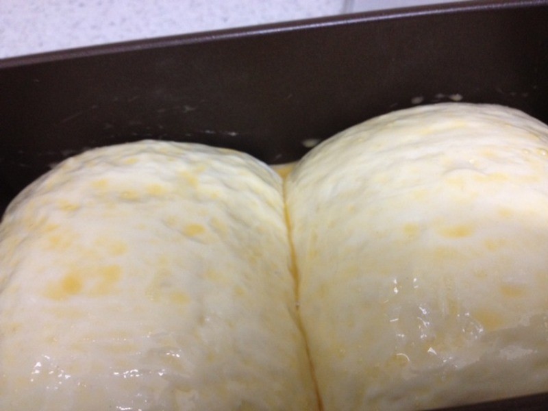 ����������˾������