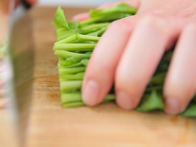 �����貤�˵�����