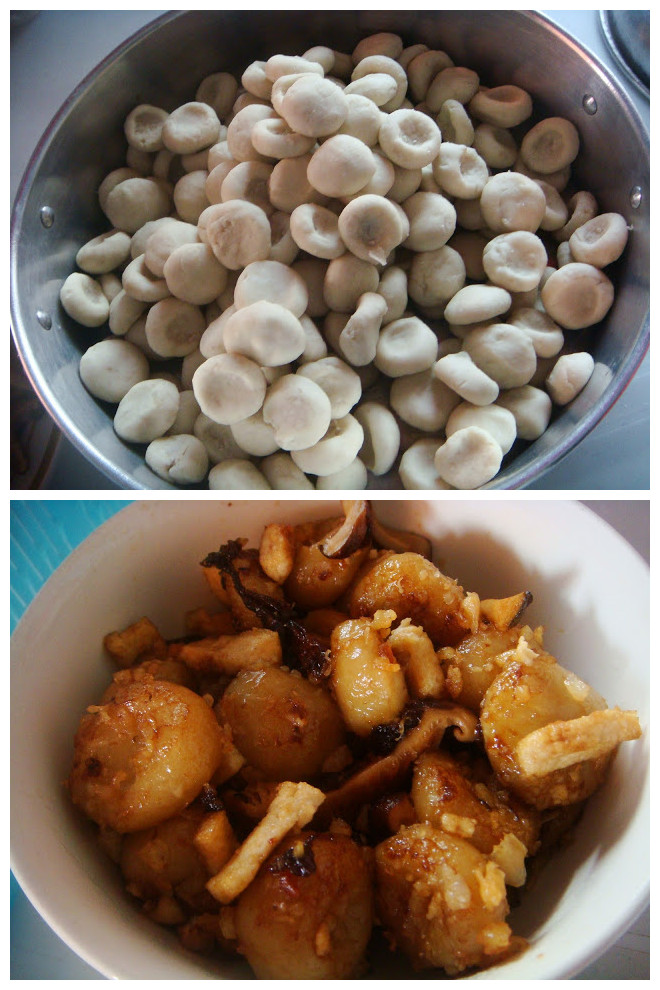 �����ӵ�����