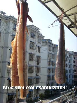 ɹ����ɵľ��ϡ�����ɹ�ɿ���������