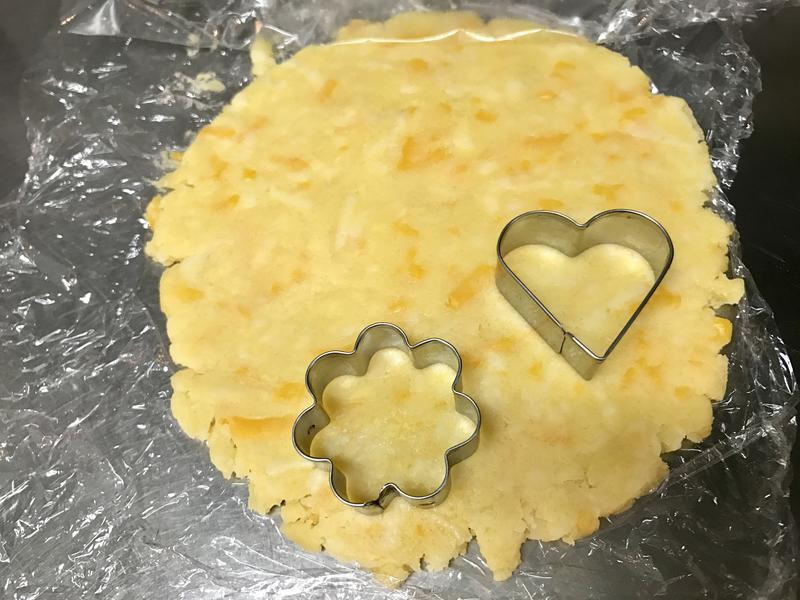 ������˾���ɵ�����