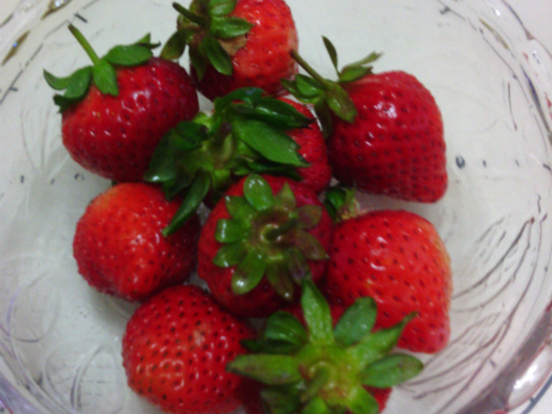 ����ݮ�Ͱ�ӥ�����̡�~�Ͱ���ݮ���̼����������