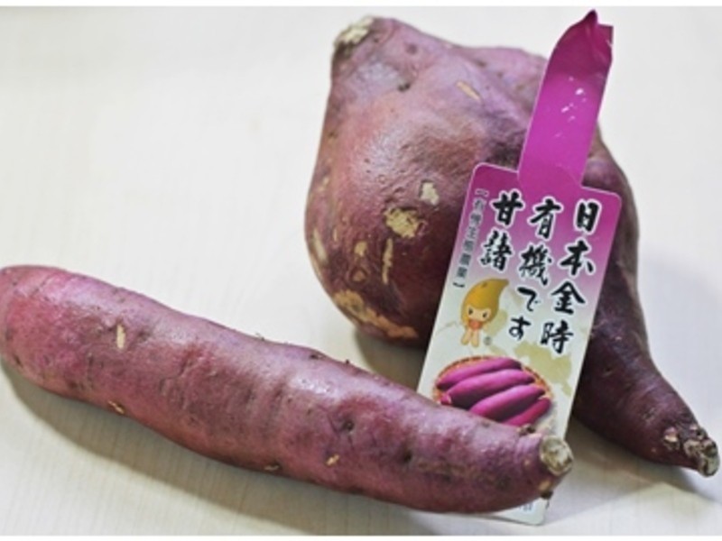 ��ʱ�عϰ����������