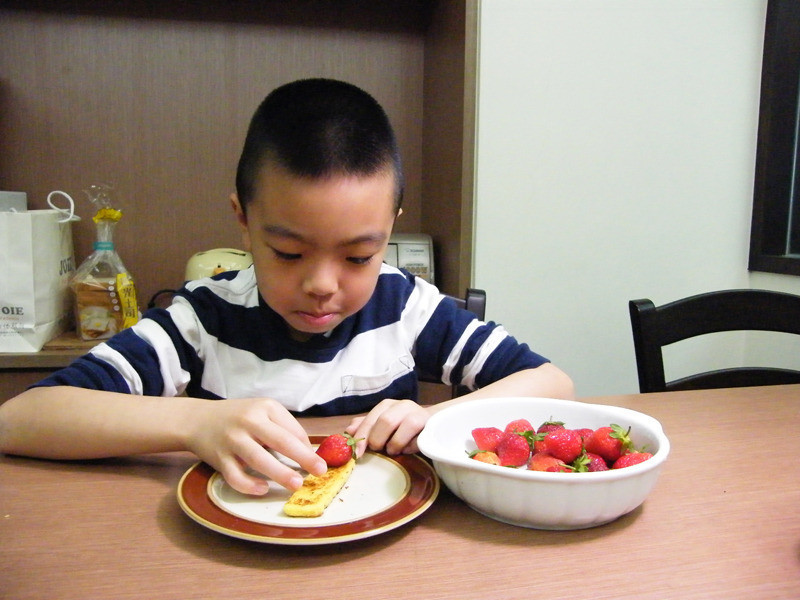 ��ݮ�Ͱ�ӥ������-��ݮ����һ��cup������