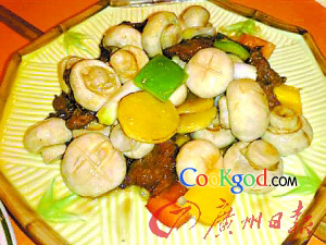 ɳ�轴ţ�⳴Ģ��������