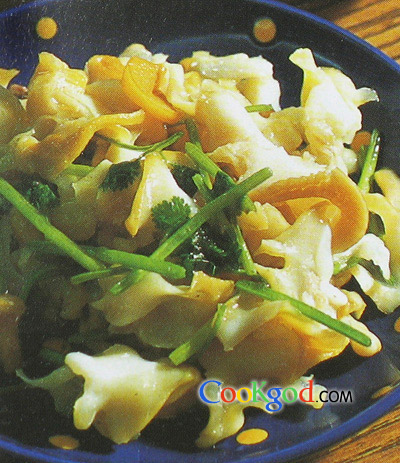 ������Ƭ������