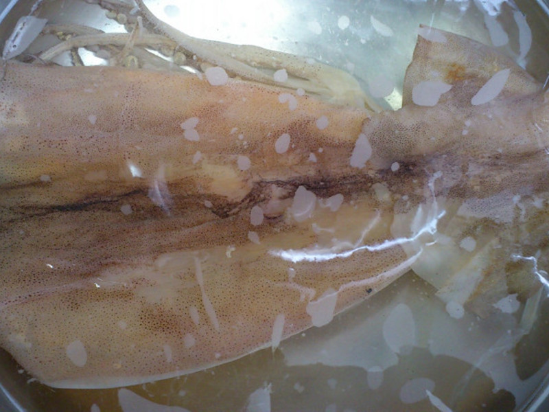 ��������������������