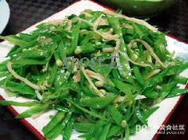 ������������˿������