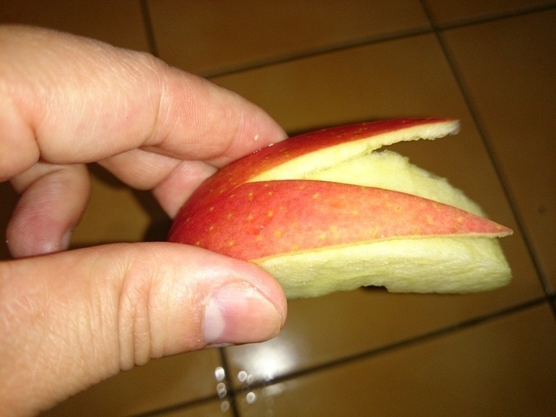 �ɿ�����Ƭ&����ƻ��������