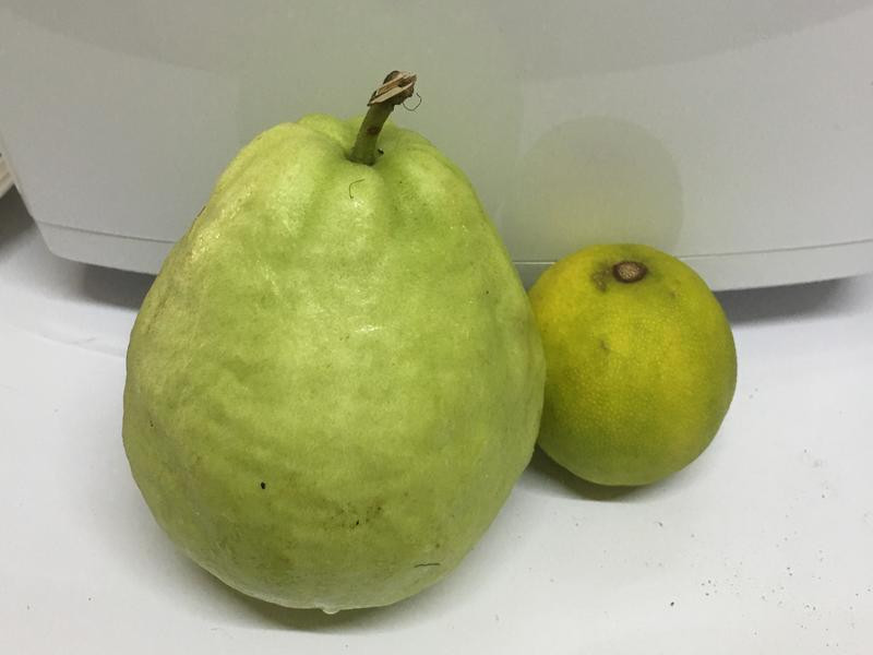 ��������֭������