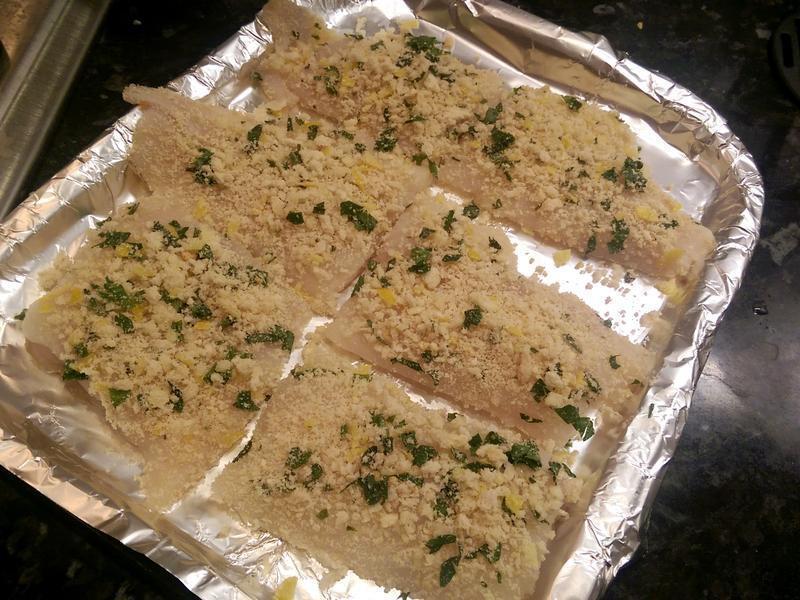 ������ݿ����������