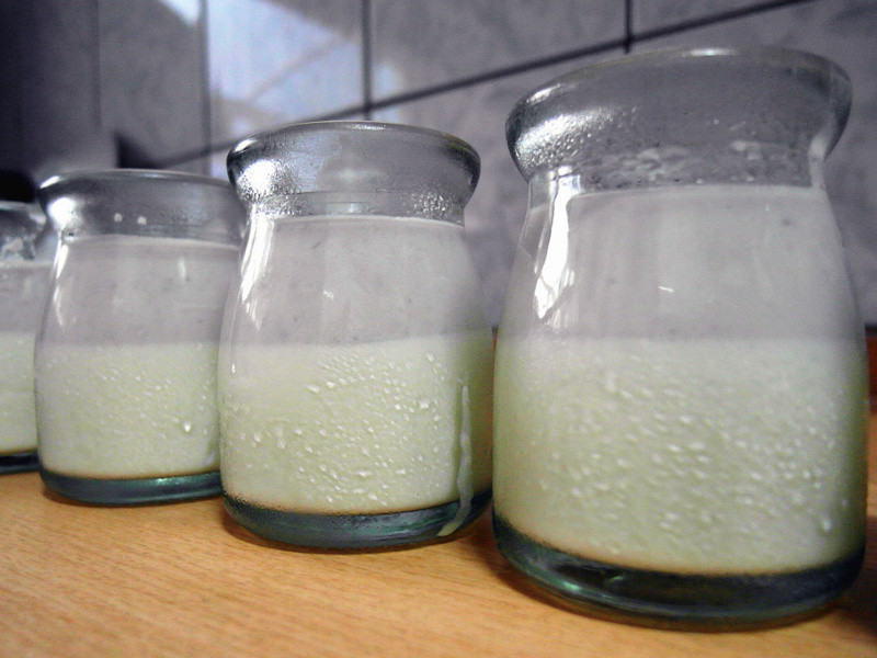 ����������������ʳ����Ƭ˫ɫ���ҵ�����