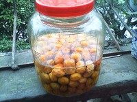 ����÷������