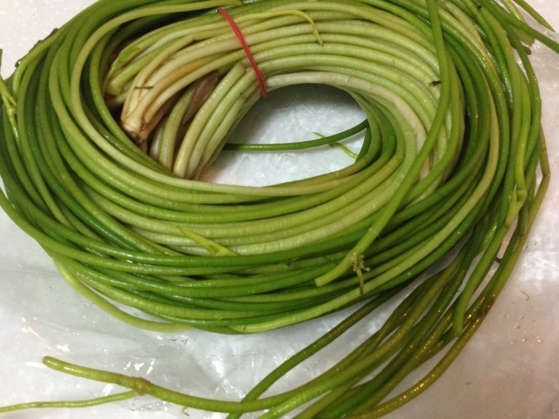 ��˿��ˮ��������