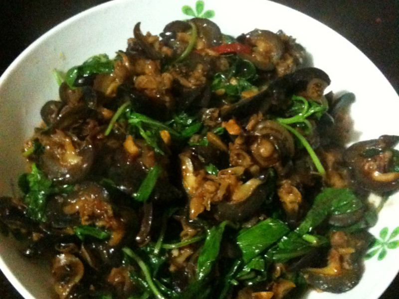 �쳴����������������