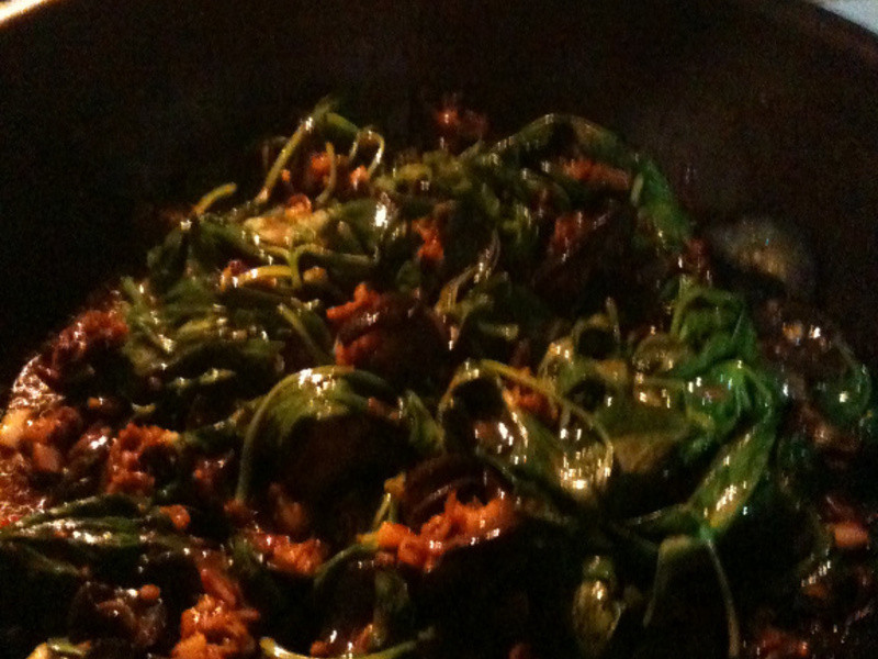 �쳴����������������