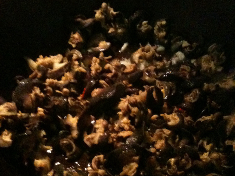 �쳴����������������