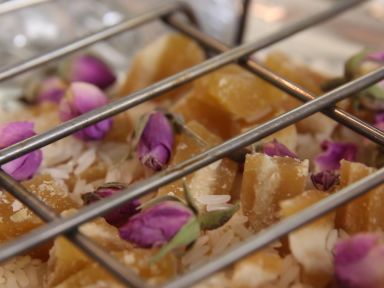 õ��Ѭ��������