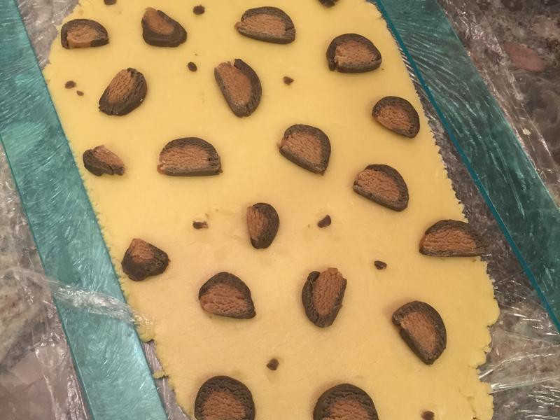 ���Ʊ��ɵ�����