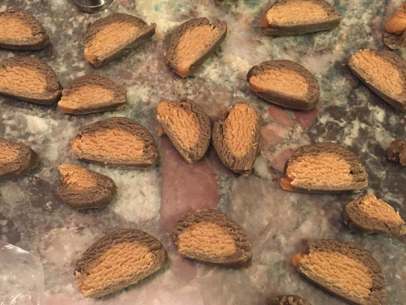 ���Ʊ��ɵ�����