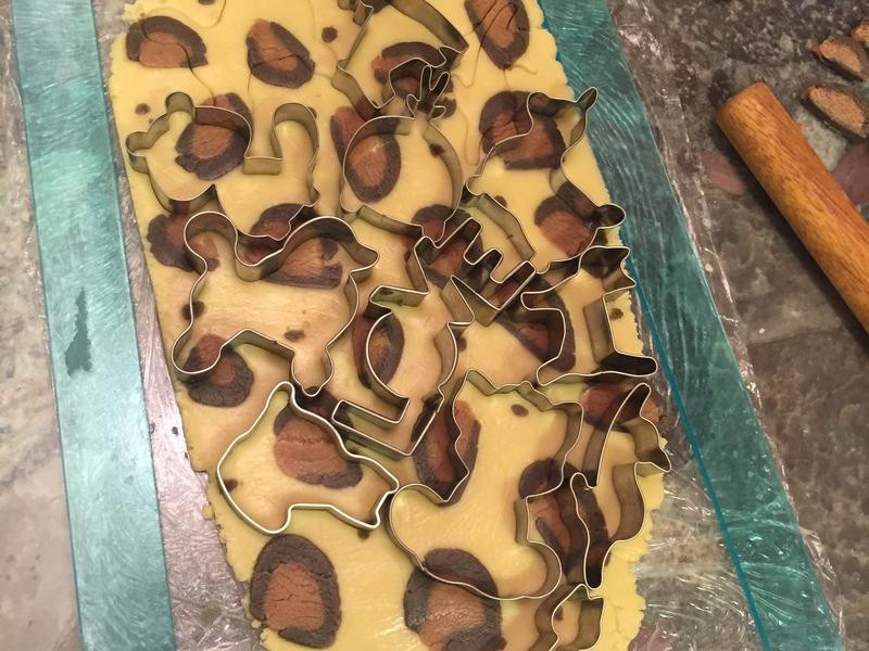 ���Ʊ��ɵ�����