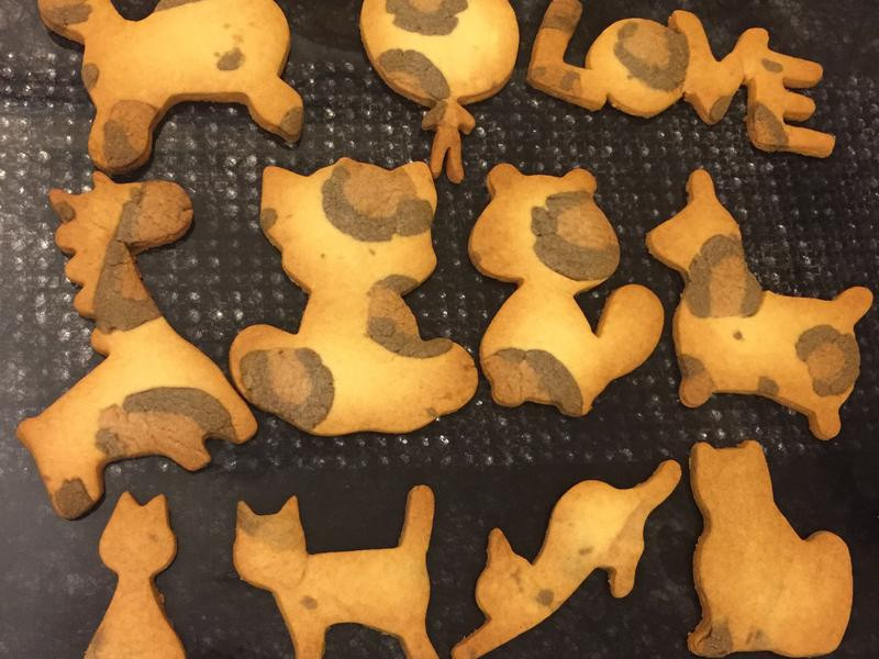 ���Ʊ��ɵ�����