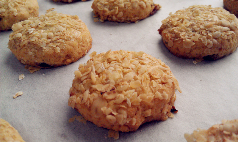 �������Ѹɱ��ɵ�����