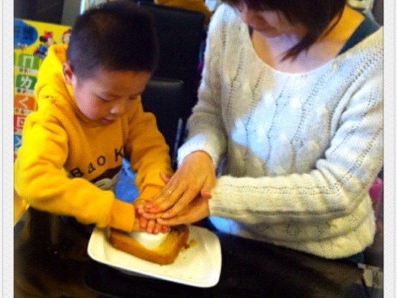 �������DIY-��ݮ�Ͱ�ӥ�����̵�����