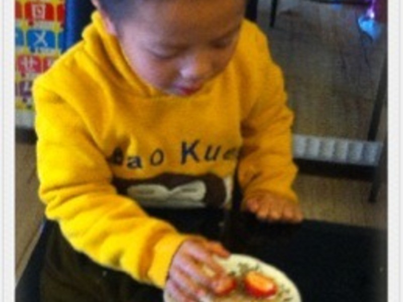 �������DIY-��ݮ�Ͱ�ӥ�����̵�����