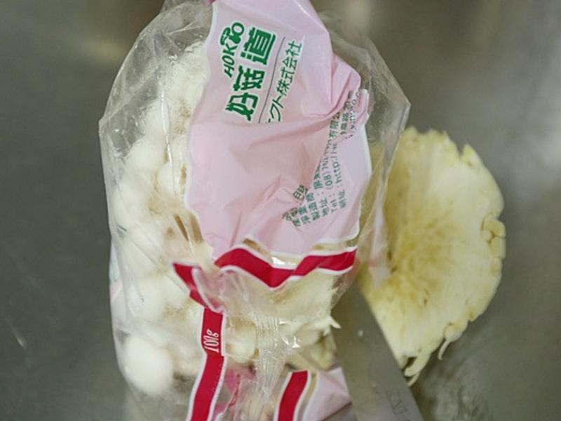 ����ѩ�׹�����������