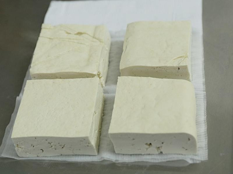 ����ѩ�׹�����������