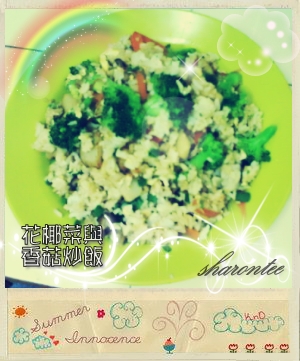 ��Ҭ�����㹽����������