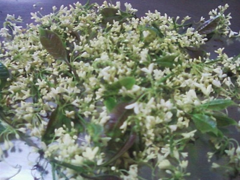 ���� DIY�� ����(����)������