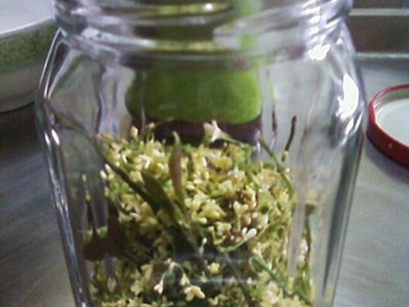 ���� DIY�� ����(����)������