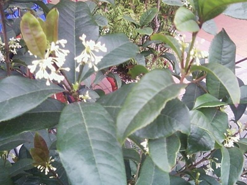 ���� DIY�� ����(����)������