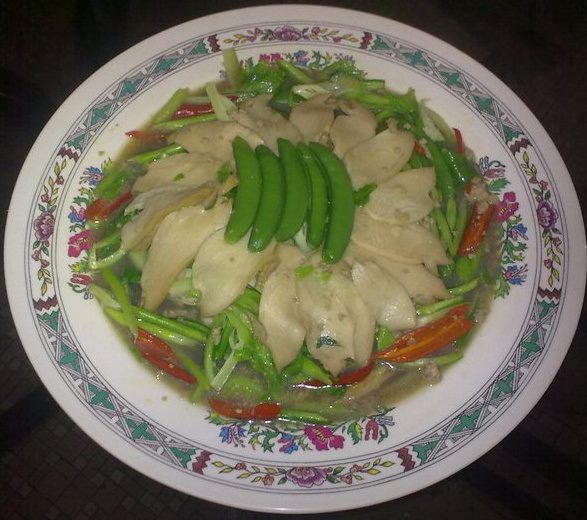 ����ʲ��������