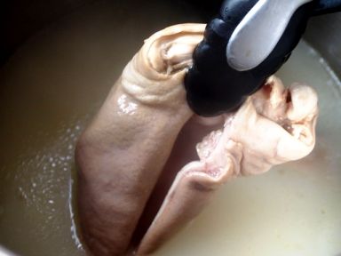 ����ʳ�� - ��˶�˿��������