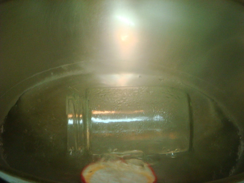 ��ʽ�δн�������