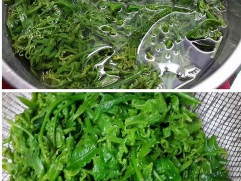 ����ɳ����è������